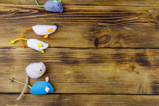 一套老鼠玩具为猫木制背景。俯视图，复制空间图片下载