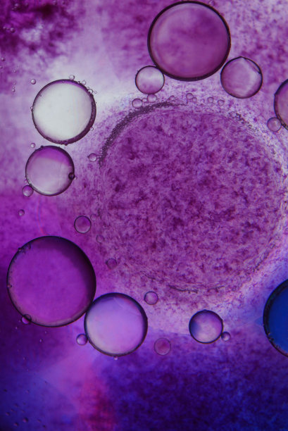 油漆、抽象。特写照片。抽象画的彩色背景。彩色的壁纸。高质量的零件。图片下载