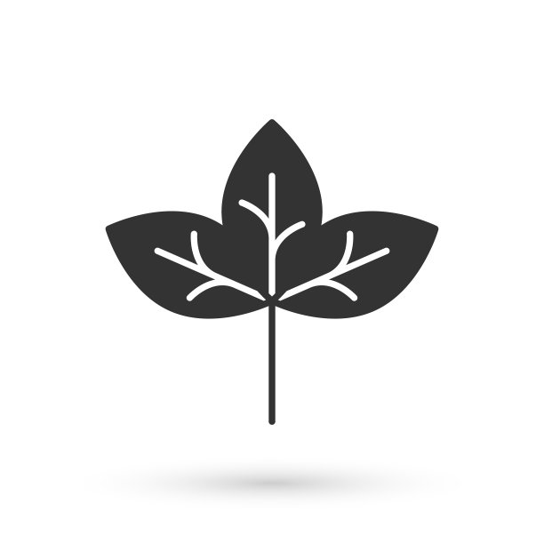 灰色叶子图标孤立在白色背景上。叶子的迹象。清新自然的产品标志。向量图片下载