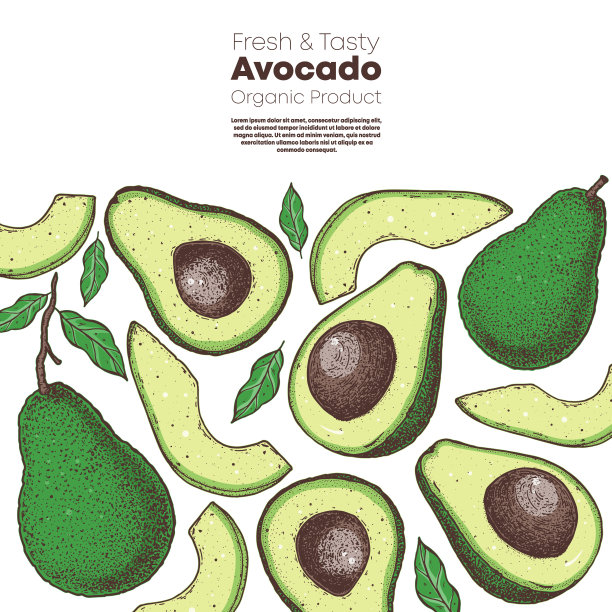 鳄梨手绘插图。鳄梨。素描矢量插图。可用于包装设计。图片下载