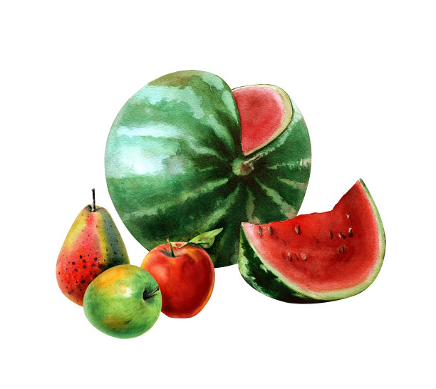 西瓜，苹果，梨在植物写实插图孤立在白色上图片下载