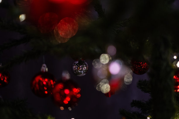 圣诞树图片下载