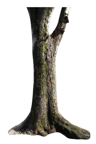 底座图像图片下载