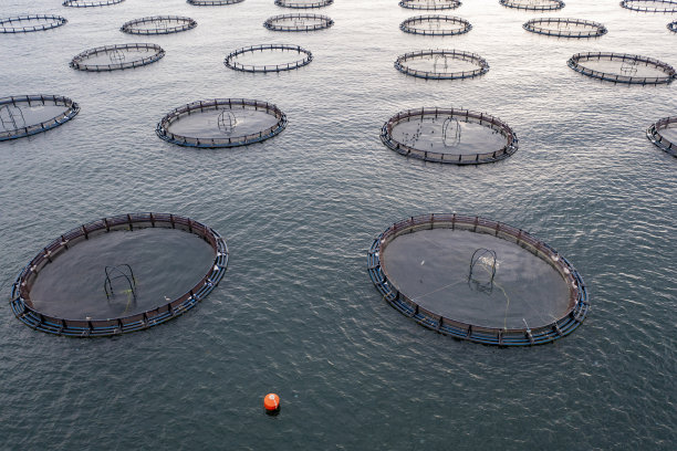 用无人机鸟瞰养鱼场图片下载