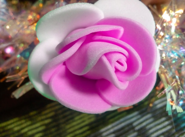 白色粉色的花图片下载