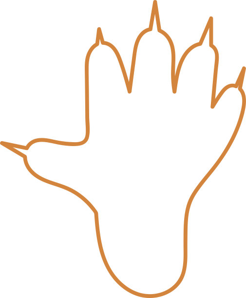 动物足迹图标标识设计图片下载