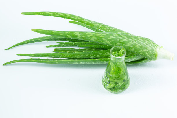 切片芦荟和一瓶凝胶分离，芦荟在白色背景上图片下载