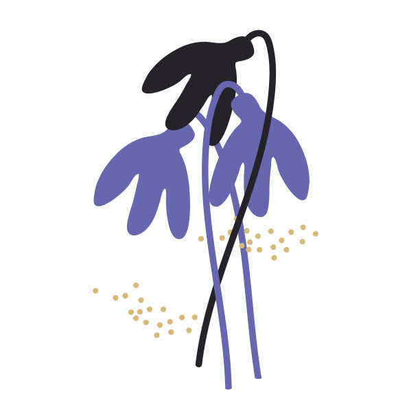 印花服装设计，配饰，其他设计项目。白色背景上的花木兰图片下载