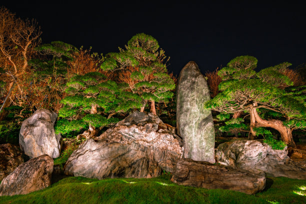 南莲园芝莲庵位于中国香港钻石山图片下载