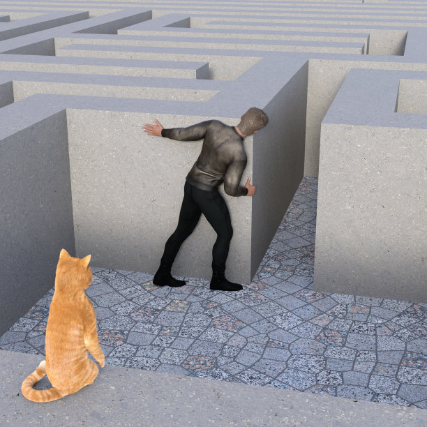 混凝土迷宫里的好奇猫和男人图片下载