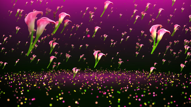 摘要甜红粉红五颜六色的马蹄莲花和闪闪闪闪的灰尘飞在闪闪闪闪的地板上图片下载