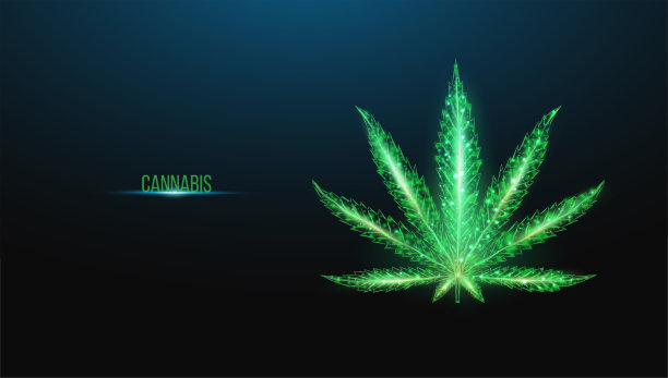 大麻叶。低多边形线框风格。图片下载