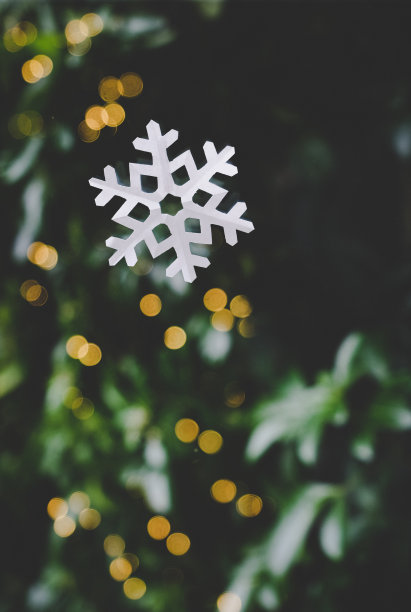 纸雪花圣诞装饰图片下载