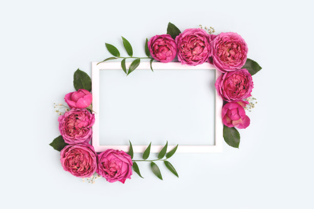 空的花框架由粉红色的玫瑰在蓝色粉彩的背景。图片下载