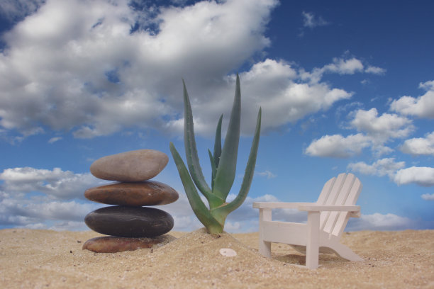 芦荟植物与石头和椅子在沙滩上蓝色的天空背景图片下载