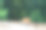 欧洲、俄罗斯。夏天的城市景观，城市公园的长椅。图片下载
