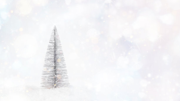 新年的概念。背景的祝贺。简单的简约。装饰银圣诞树在灯光背景。新年贺卡的背景。副本的空间。图片下载