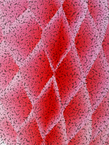 粉红色和红色钻石几何图案和设计图片下载