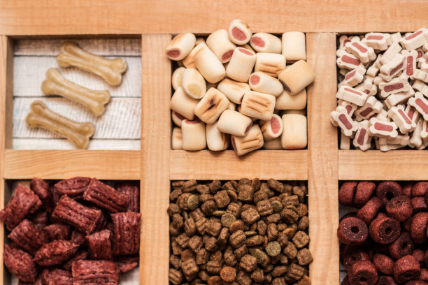 狗香彩饼干图片下载