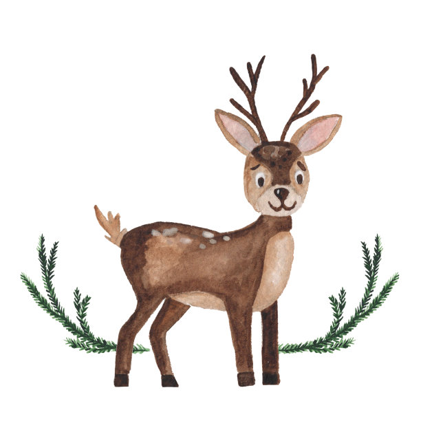 水彩可爱的鹿。手绘插图图片下载