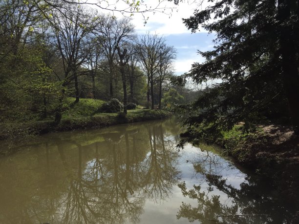 反射之美图片下载