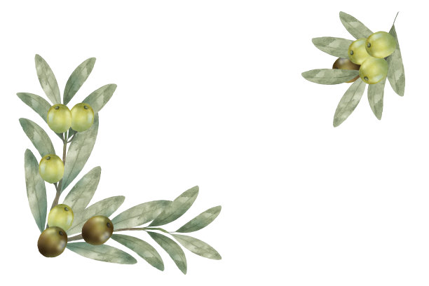 水彩橄榄枝与绿色的橄榄枝图片下载