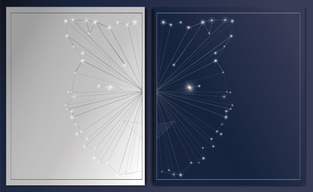 一套抽象的海报与多边形的老虎。图片下载