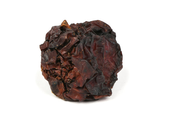 烂苹果孤立在白色的背景上。图片下载