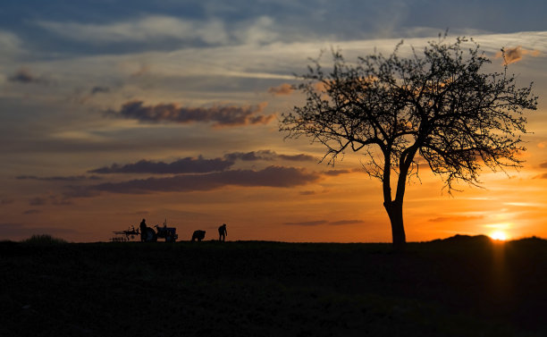 拖拉机剪影图片下载