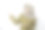 微笑的政府工作人员指着旁边。PNS穿卡其制服。图片下载