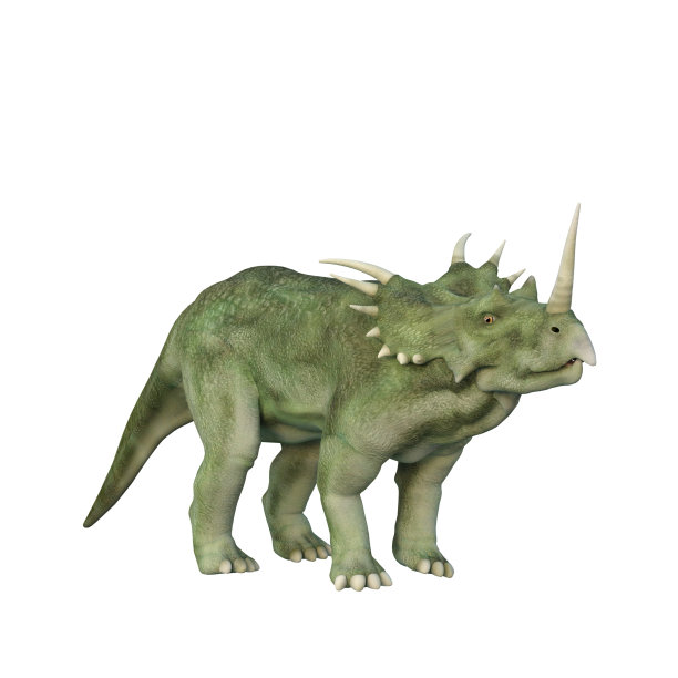Styracosaurus Dinosaur. 3D插图孤立在白色背景上。图片下载