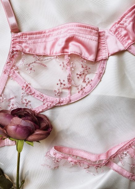 粉色内衣集图片下载