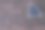 碗里的蓝莓在一棵老树的纹理上。图片下载