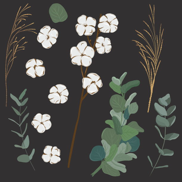 干燥的花。棉花和桉树。波西米亚风格的元素装饰邀请或贺卡图片下载