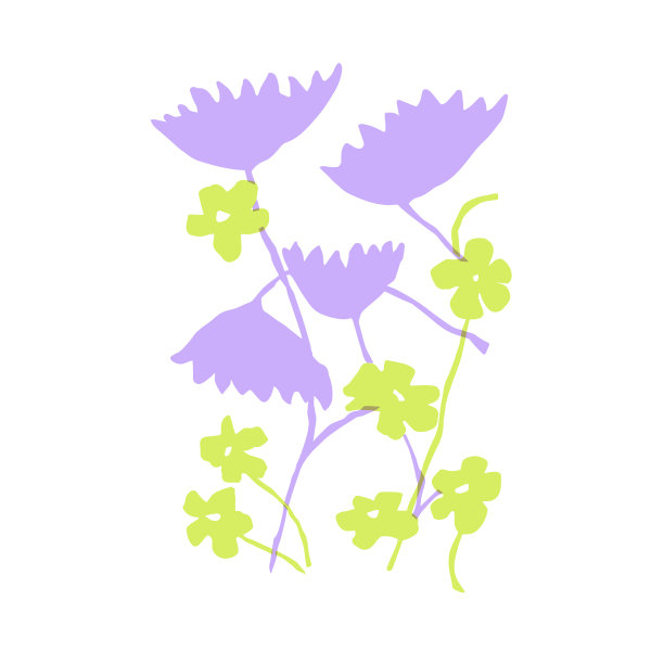 向量抽象轮廓花植物插图艺术品图形资源图片下载