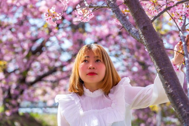 年轻女子和樱花在日本。图片下载