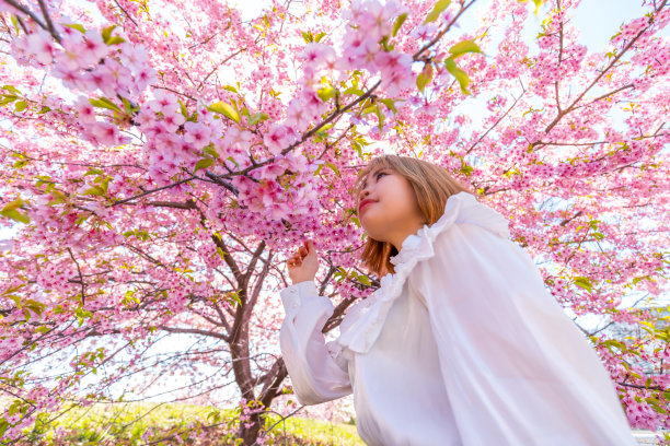年轻女子和樱花在日本。图片下载