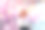 年轻女子和樱花在日本。图片下载