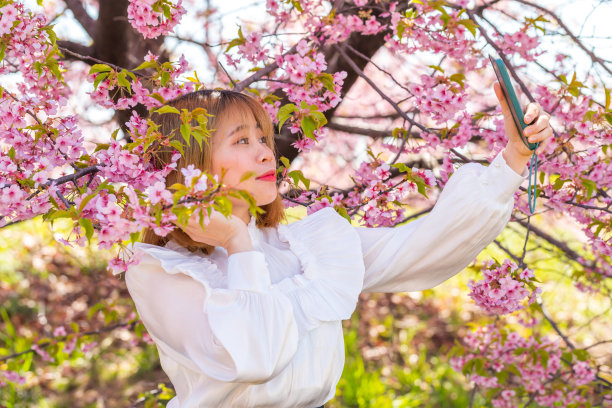 年轻女子和樱花在日本。图片下载