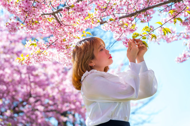 年轻女子和樱花在日本。图片下载