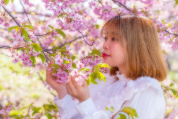 年轻女子和樱花在日本图片下载