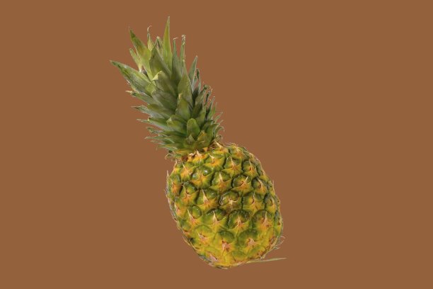 菠萝果实孤立在棕色背景上。创意布局的菠萝。飞行的食物。食品的概念图片下载