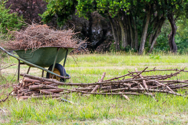 一辆装满干柴火的手推车图片下载