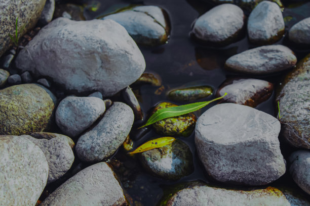 鹅卵石河岸树叶图片下载