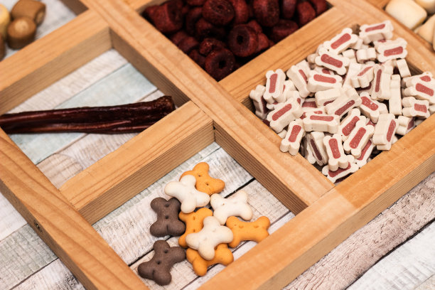 狗香彩饼干图片下载