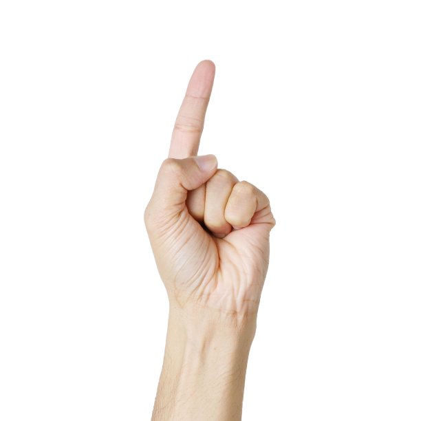 手隔离在白色上图片下载