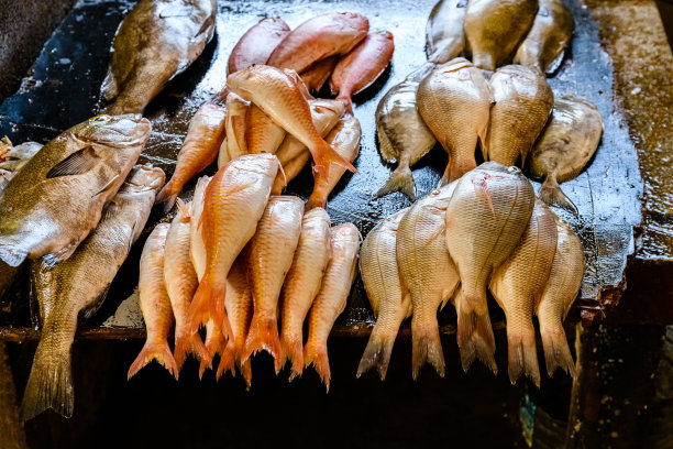 鱼市场有不同的鱼出售图片下载