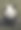 成都熊图片下载