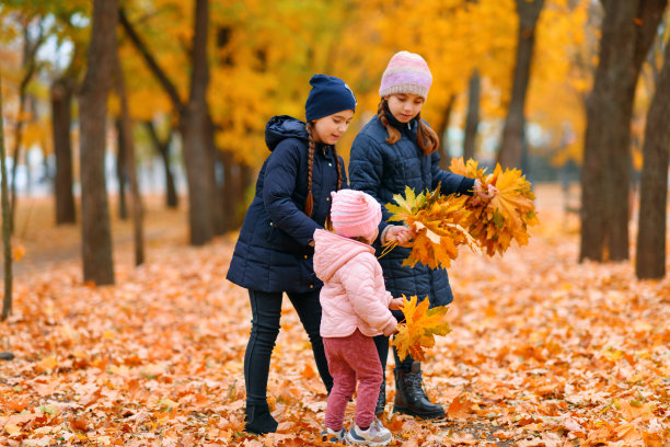 女孩们在秋天的城市公园里玩耍。两个孩子在玩黄色的枫叶。秋天的季节，美丽的大自然有黄色的树木。图片下载