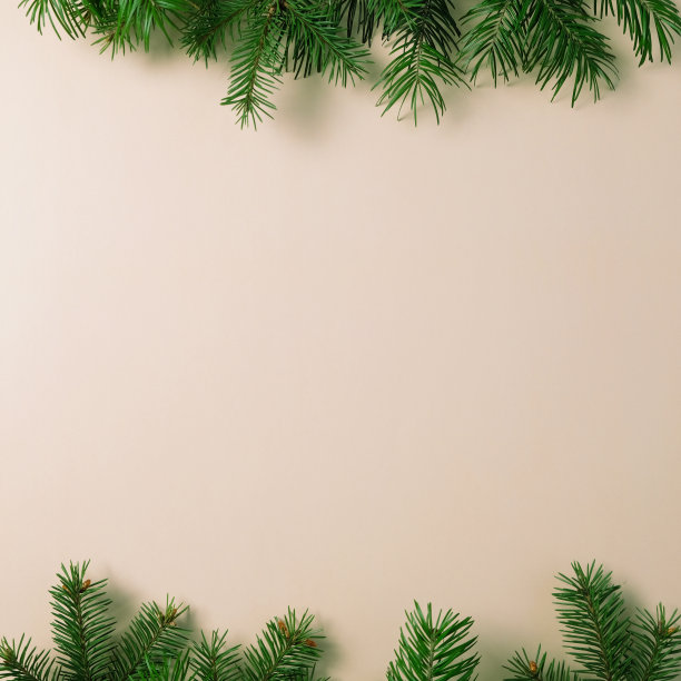 中性背景上的圣诞树树枝的背景。图片下载